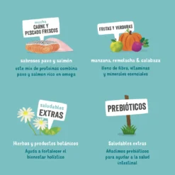 Lot 11 Edgard & Cooper Terrine Sans Céréales Pour Adultes Avec Saumon Et Truite 10 Lot 11 Edgard & Cooper Terrine Sans Céréales Pour Adultes Avec Saumon Et Truite -Trixie Soldes Magasin 03 EdgardCooper ECommContent KeyIngredients AdultSalmonTurkeyWet 150g 62a8222dc815c