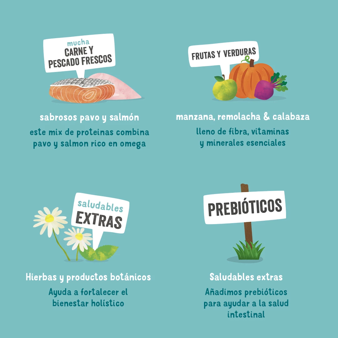 Lot 11 Edgard & Cooper Terrine Sans Céréales Pour Adultes Avec Saumon Et Truite 5 Lot 11 Edgard & Cooper Terrine Sans Céréales Pour Adultes Avec Saumon Et Truite – Image 3