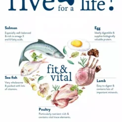 Happy Dog Mini Light Low Fat Supreme -Trixie Soldes Magasin 03 FV Give me five hoch ENGL 600x600 62dacff559e5f