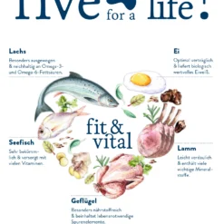 Happy Dog Fit & Vital Medium Adult -Trixie Soldes Magasin 03 FV Give me five hochLbp5PBr6ZVFFu 636924d947d8d