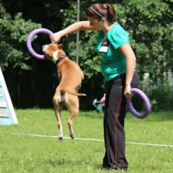 Collar Puller Jouet à Mâcher -Trixie Soldes Magasin 10665 Dispositivo adiestramiento perros Puller3 62fe0bde95f6c