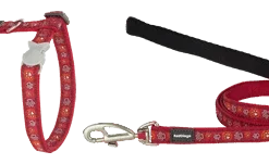 Red Dingo Harnais & Pour Chat Laisse Patte Rouge