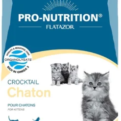 Flatazor Crocktail Kitten