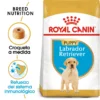 Royal Canin Labrador Retriever Puppy Aliment Pour Chiots 2 Royal Canin Labrador Retriever Puppy Aliment Pour Chiots -Trixie Soldes Magasin 112 1 0