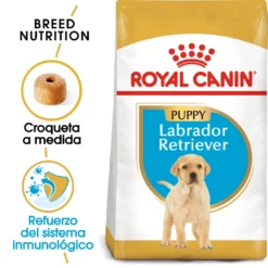 Royal Canin Labrador Retriever Puppy Aliment Pour Chiots