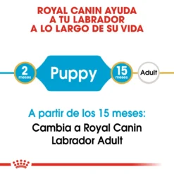 Royal Canin Labrador Retriever Puppy Aliment Pour Chiots -Trixie Soldes Magasin 112 3 2