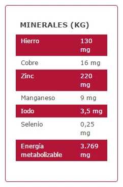 Arion Nourriture Pour Chiens Original Adult Small Saumon Et Riz 6 Arion Nourriture Pour Chiens Original Adult Small Saumon Et Riz – Image 4