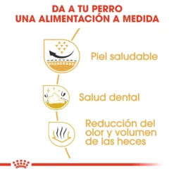 Royal Canin Tourteau Shih Tzu Adult -Trixie Soldes Magasin 114313 rc bhn shihtzu cv eretailkit 3 es es 3