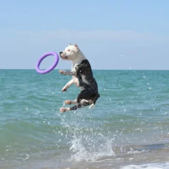 Collar Puller Jouet à Mâcher -Trixie Soldes Magasin 114417 collar 5 scaled