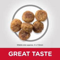 Hill's Science Plan Small & Mini Adult 1-6 Au Agneau & Riz -Trixie Soldes Magasin 114592 sp canine science plan adult small and miniature lamb rice dry productkibble 500 2