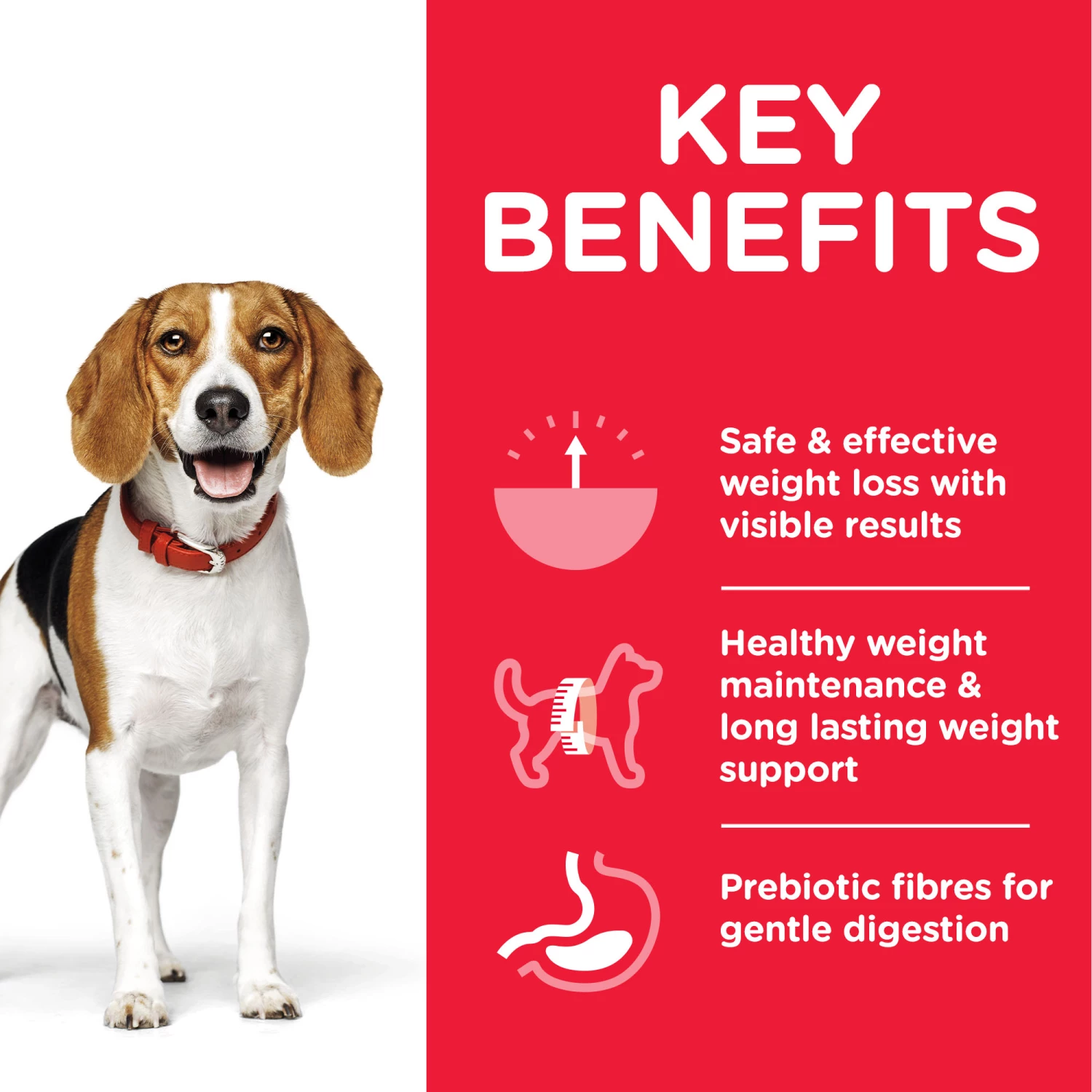 Lot 12 Hill's SP Canine Adult Perfect Weight Boîte 363g 9 Lot 12 Hill's SP Canine Adult Perfect Weight Boîte 363g – Image 7