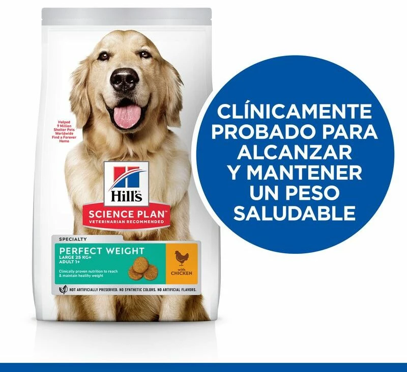 Hill's Science Plan Large Adult Perfect Weight Au Poulet 5 Hill's Science Plan Large Adult Perfect Weight Au Poulet – Image 3