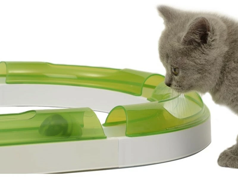 Catit Circuit De Jeu Pour Chats Senses 2.0 6 Catit Circuit De Jeu Pour Chats Senses 2.0 – Image 4