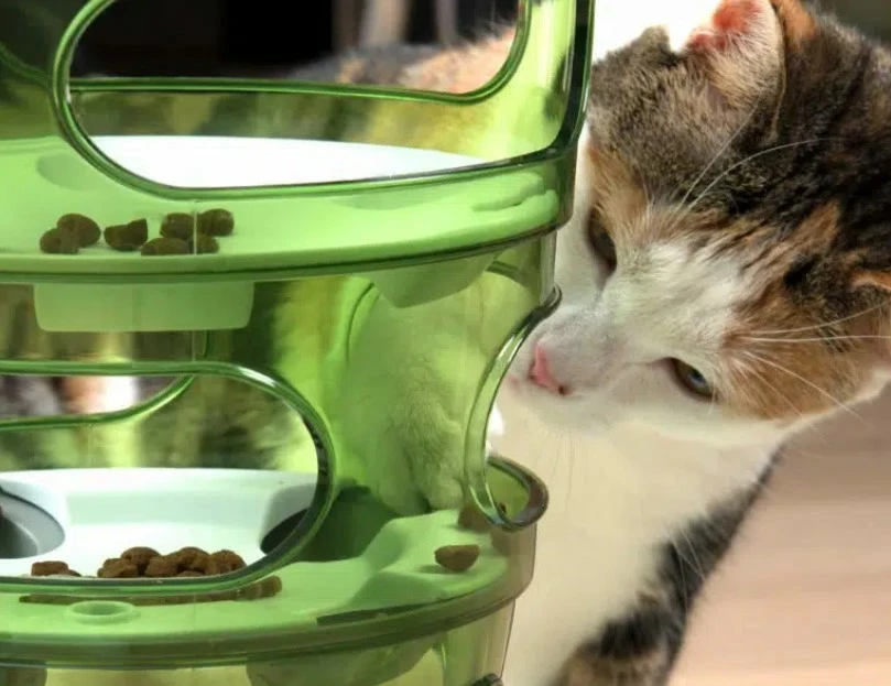 Catit Labyrinthe De Nourriture Senses 2.0 5 Catit Labyrinthe De Nourriture Senses 2.0 – Image 3