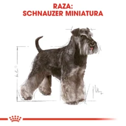 Royal Canin Tourteau Miniature Schnauzer Adult -Trixie Soldes Magasin 117 3 2