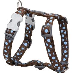 Red Dingo Pantalon à Pois Bleu Pantalon Marron