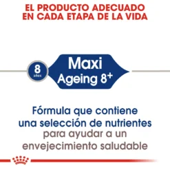 Royal Canin Maxi Ageing+8 Pour Chiens Ages De Grande Taille -Trixie Soldes Magasin 11792 2 2