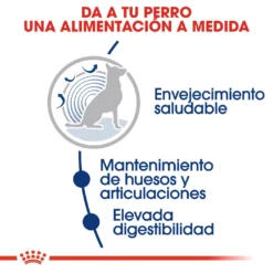 Royal Canin Maxi Ageing+8 Pour Chiens Ages De Grande Taille -Trixie Soldes Magasin 11792 3 3