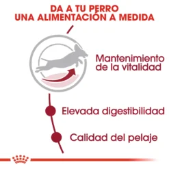 Royal Canin Tourteau Medium Adult +7 -Trixie Soldes Magasin 11794 4 3