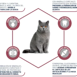 Advance Sterilized +10 -Trixie Soldes Magasin 11859 3 3