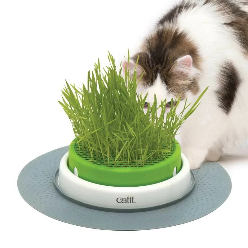 Catit Senses 2.0 Grass Planter Germoir 3 Catit Senses 2.0 Grass Planter Germoir