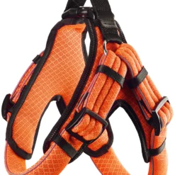 Hunter Harnais Manoa Vario Quick Light Orange