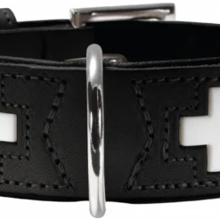 Hunter Collier Suisse Pour Chiens De Couleur Noire