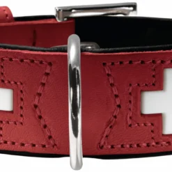 Hunter Collier Suisse Pour Chien Rouge Et Noir