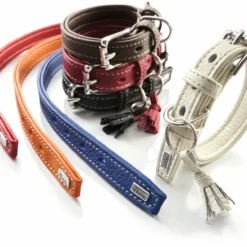 Hunter Collier De Cannes Pour Chiens De Couleur Orange 5 Hunter Collier De Cannes Pour Chiens De Couleur Orange -Trixie Soldes Magasin 124639 4016739618832 0 2 scaled