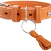 Hunter Collier De Cannes Pour Chiens De Couleur Orange -Trixie Soldes Magasin 124639 4016739618832 1