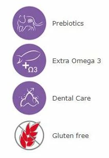 Arion Tourteau Pour Chats Original Sensible 4 Arion Tourteau Pour Chats Original Sensible – Image 2