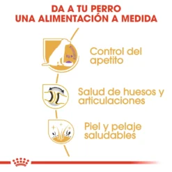 Royal Canin Labrador Retriever Adulte Sterilised -Trixie Soldes Magasin 128927 rc bhn labradorsterilised cv eretailkit 3 es es 3