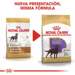 Royal Canin Labrador Retriever Adulte Sterilised -Trixie Soldes Magasin 128927 rc bhn labradorsterilised cv eretailkit 4 es es 6