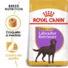 Royal Canin Labrador Retriever Adulte Sterilised -Trixie Soldes Magasin 128927 rc bhn labradorsterilised mv eretailkit es es 2