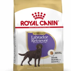 Royal Canin Labrador Retriever Adulte Sterilised -Trixie Soldes Magasin 128927 ste labrador packshot bhn18 1
