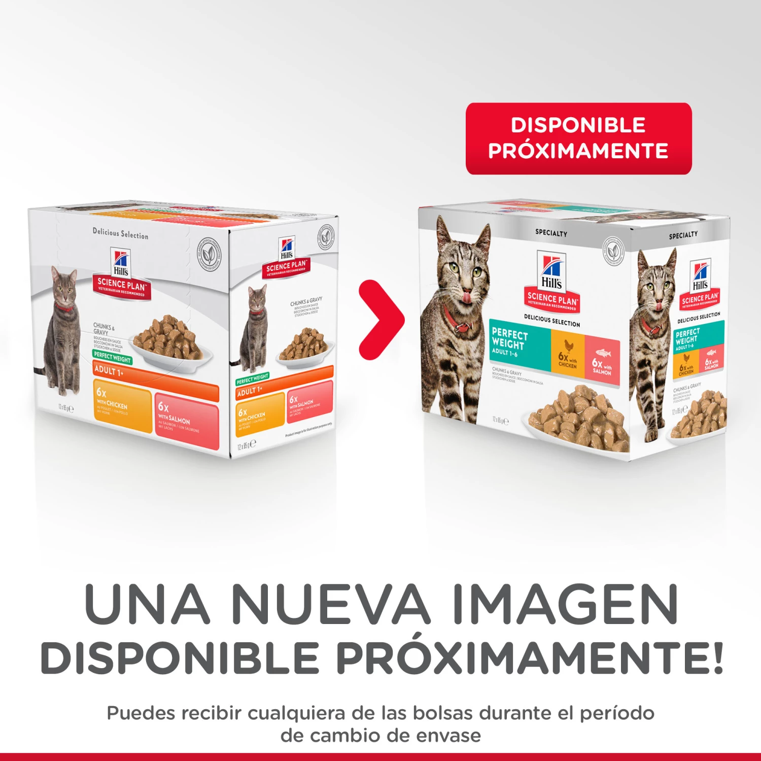 Hill's Science Plan Adult 1-6 Perfect Weight Multipack 4 Hill's Science Plan Adult 1-6 Perfect Weight Multipack – Image 2