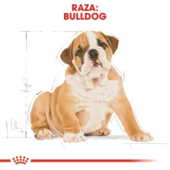 Royal Canin Bulldog Puppy Aliment Pour Chiots Bouledogue -Trixie Soldes Magasin 139 6 5 62ffac623b2f5