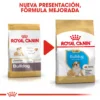 Royal Canin Bulldog Puppy Aliment Pour Chiots Bouledogue -Trixie Soldes Magasin 139 8 7 62ffac401d66f
