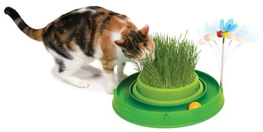 Catit Play Circuit Germoir 4 Catit Play Circuit Germoir – Image 2