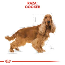 Royal Canin Nourriture Cocker Adult 12 Royal Canin Nourriture Cocker Adult -Trixie Soldes Magasin 145 4 2