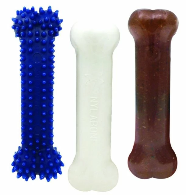 Nylabone Puppy Starter Kit S Puppy/Extreme/Dental 6 Nylabone Puppy Starter Kit S Puppy/Extreme/Dental – Image 4
