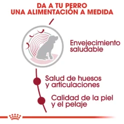 Royal Canin Tourteau Medium Ageing +10 13 Royal Canin Tourteau Medium Ageing +10 -Trixie Soldes Magasin 15325 4 3