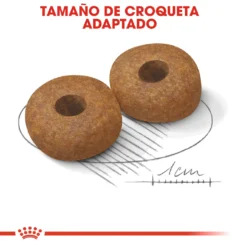 Royal Canin Tourteau Medium Ageing +10 14 Royal Canin Tourteau Medium Ageing +10 -Trixie Soldes Magasin 15325 5 4