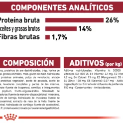 Royal Canin Tourteau Medium Ageing +10 17 Royal Canin Tourteau Medium Ageing +10 -Trixie Soldes Magasin 15325 8 7