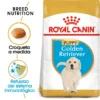 Royal Canin Golden Retriever Puppy Aliment Pour Chiots -Trixie Soldes Magasin 155 1 0