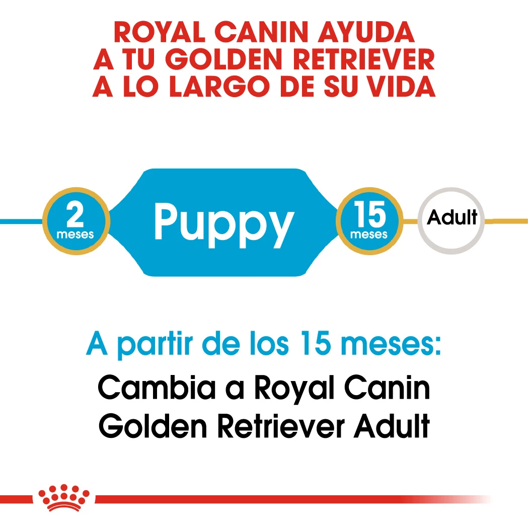 Royal Canin Golden Retriever Puppy Aliment Pour Chiots 5 Royal Canin Golden Retriever Puppy Aliment Pour Chiots – Image 3