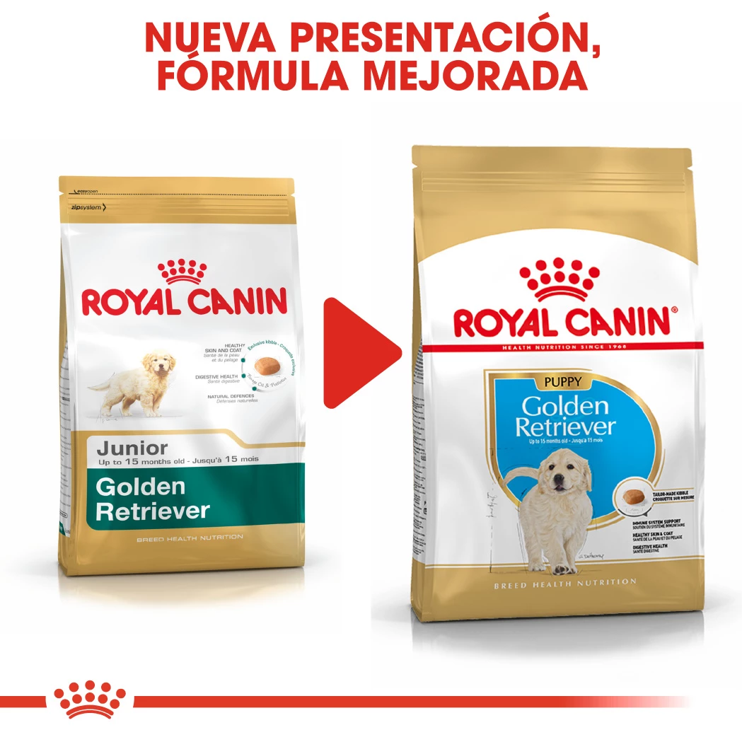 Royal Canin Golden Retriever Puppy Aliment Pour Chiots 10 Royal Canin Golden Retriever Puppy Aliment Pour Chiots – Image 8