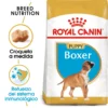 Royal Canin Boxer Puppy Aliment Pour Chiots -Trixie Soldes Magasin 156 1 0