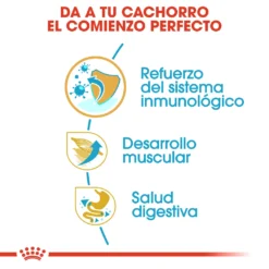 Royal Canin Boxer Puppy Aliment Pour Chiots -Trixie Soldes Magasin 156 5 4