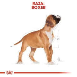 Royal Canin Boxer Puppy Aliment Pour Chiots -Trixie Soldes Magasin 156 6 5